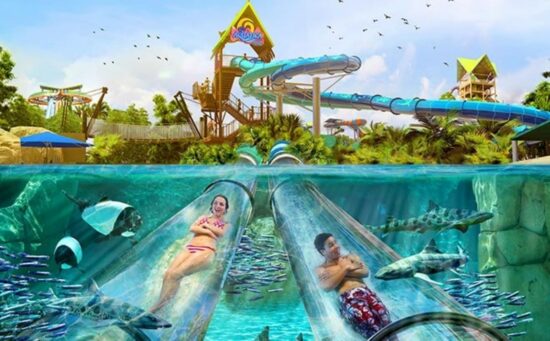 Aquatica Orlando Reef Plunge