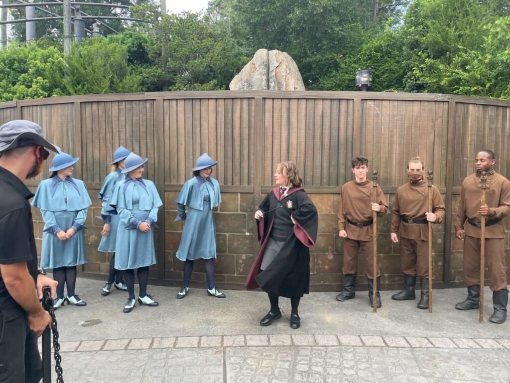 The Wizarding World of Harry Potter Beauxbatons and Durmstrang students
