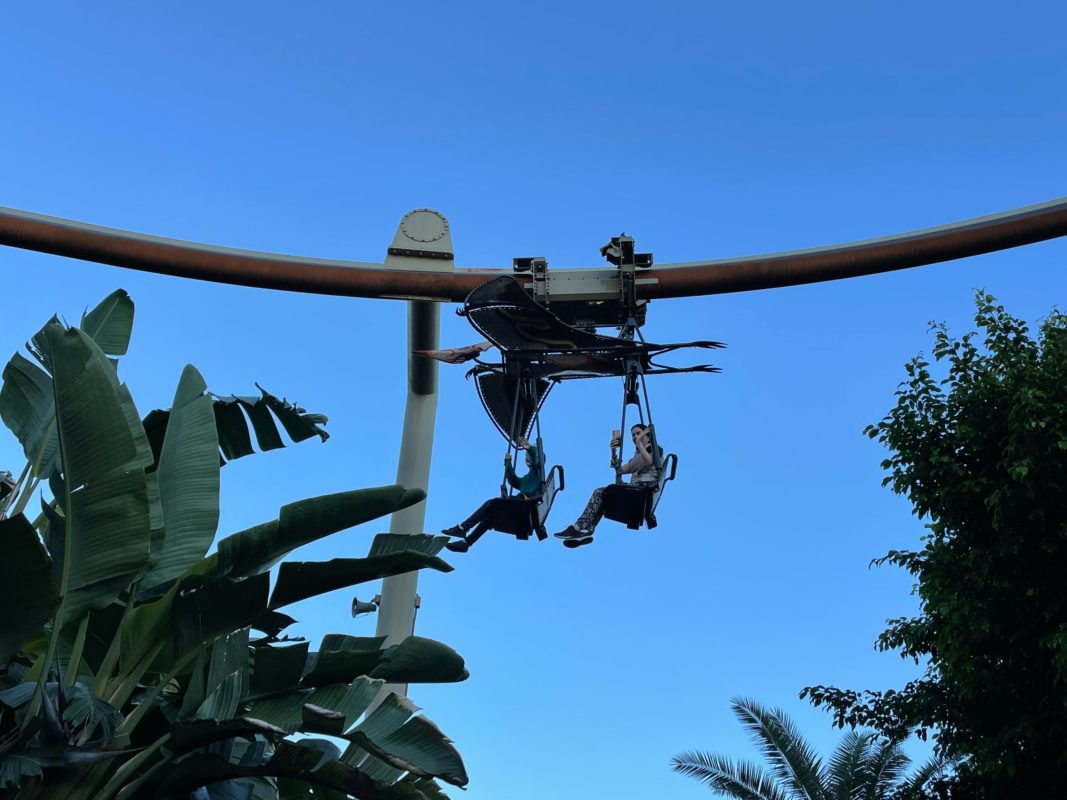 Pteranodon Flyers Reopens