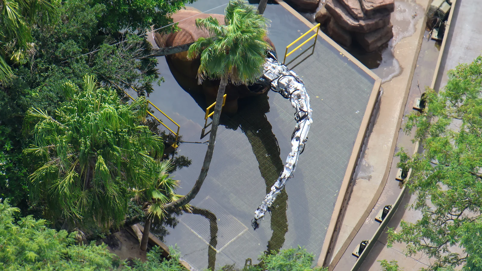 Jurassic Park River Adventure Photos Show Rebuilt Walls and Dinosaurs 3 Ultrasaurus figure above the Jurassic Park River Adventure channel during refurbishment